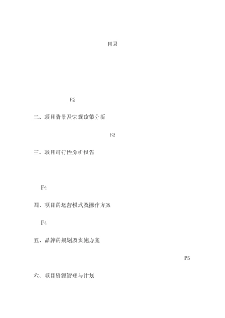 项目的运营模式及操作方案