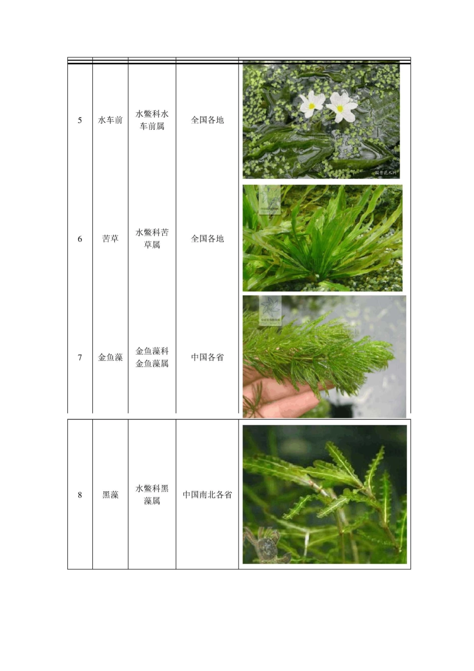 沉水植物分类与适用范围_第2页