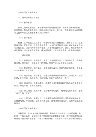 专业化团队实施方案