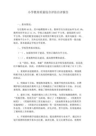 小学教育质量综合评估自评报告