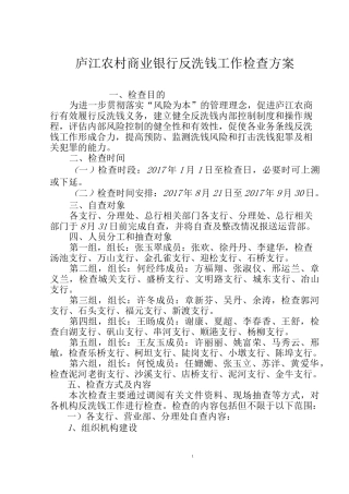 反洗钱工作检查方案