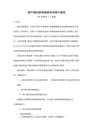 资产损失财务核销专项审计报告