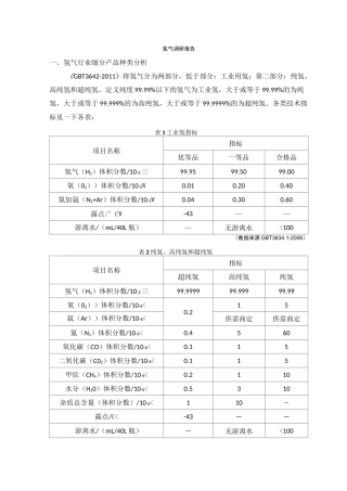 氢气调研报告