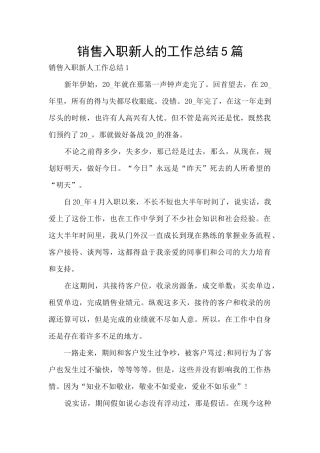 销售入职新人的工作总结5篇