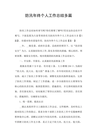 防汛年终个人工作总结多篇