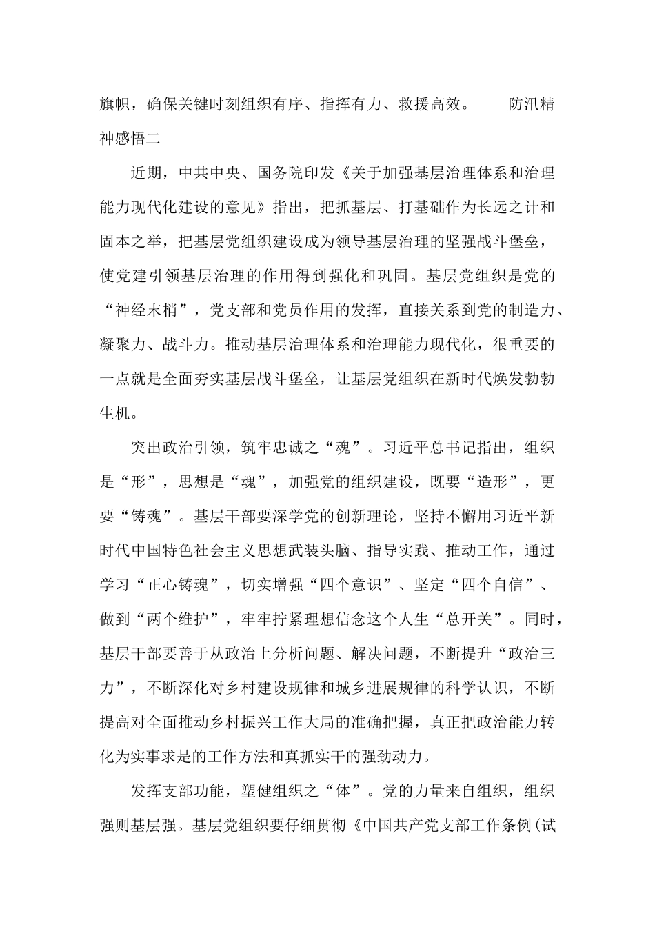 防汛精神感悟_第3页