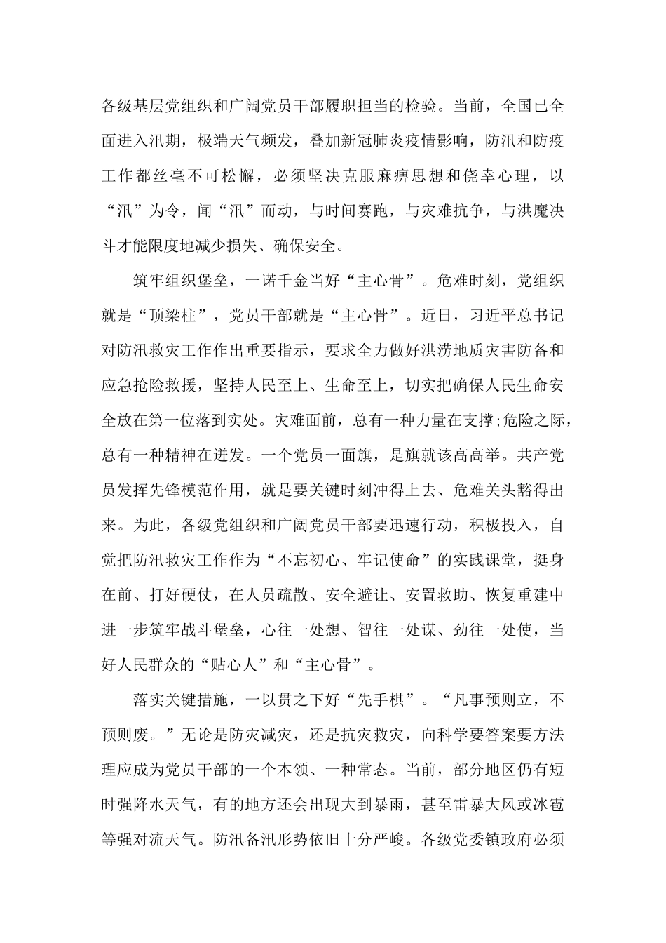 防洪防汛工作心得体会2024个感言_第3页