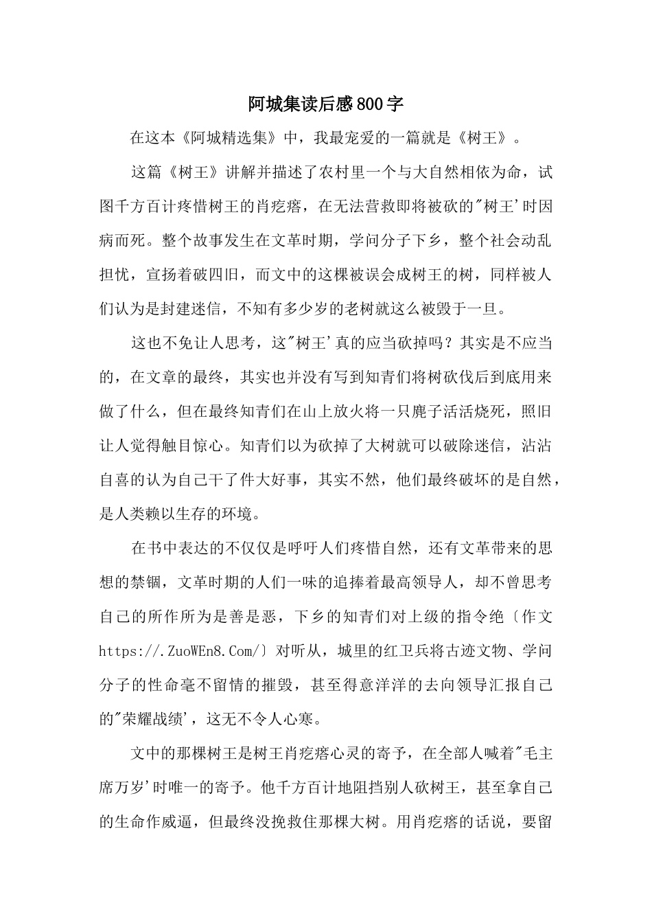 阿城集读后感800字_第1页