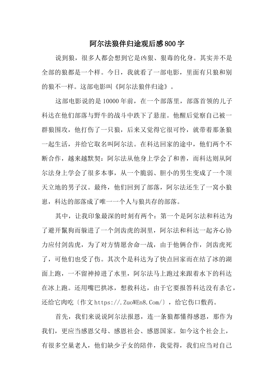 阿尔法狼伴归途观后感800字_第1页