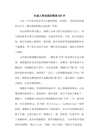 陌生人牵动我的情思800字