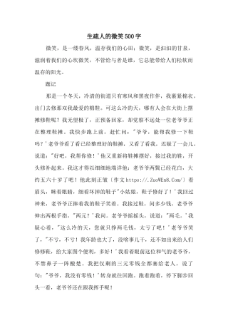 陌生人的微笑500字