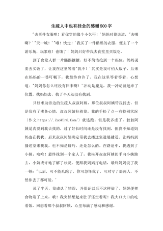 陌生人中也有帮助的感激500字