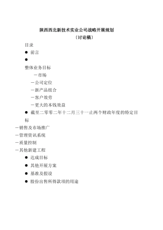 陕西西北新技术实业公司战略发展规划