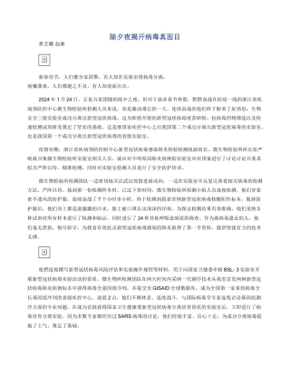 除夕夜揭开病毒真面目