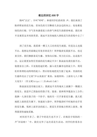 难忘的回忆600字