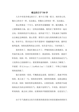 难忘的日子700字