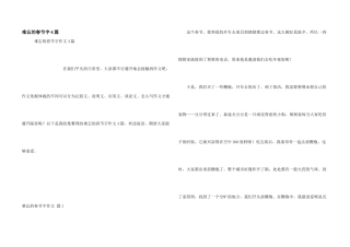 难忘的春节字4篇