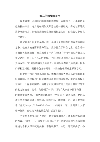 难忘的深情800字