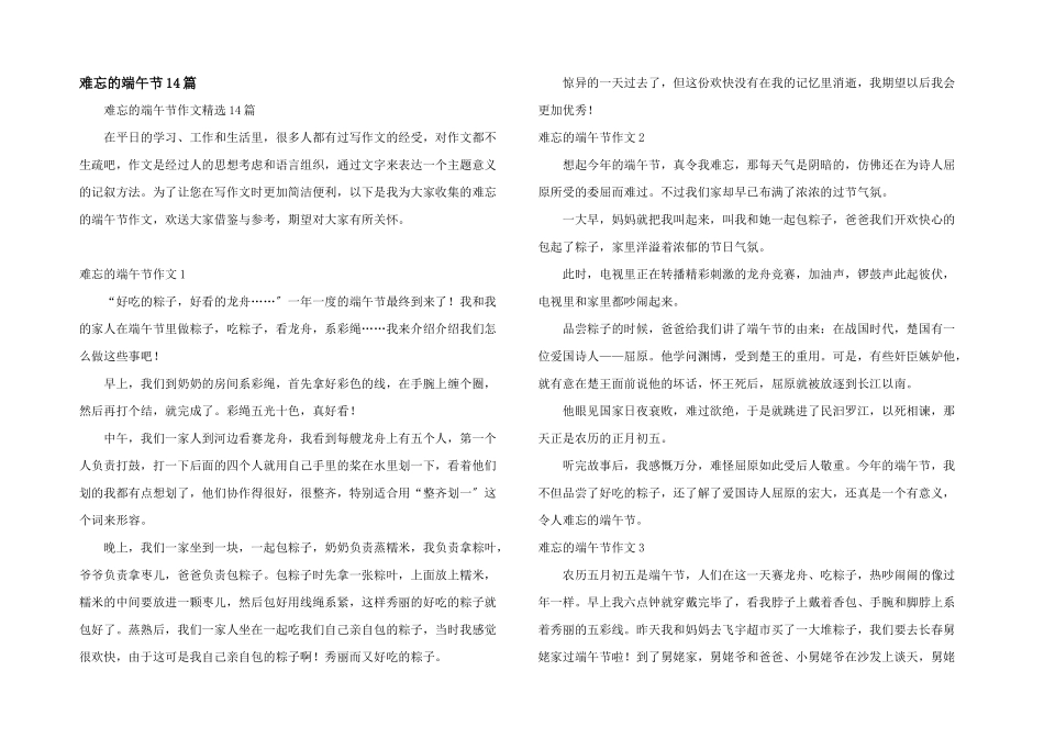 难忘的端午节14篇_第1页