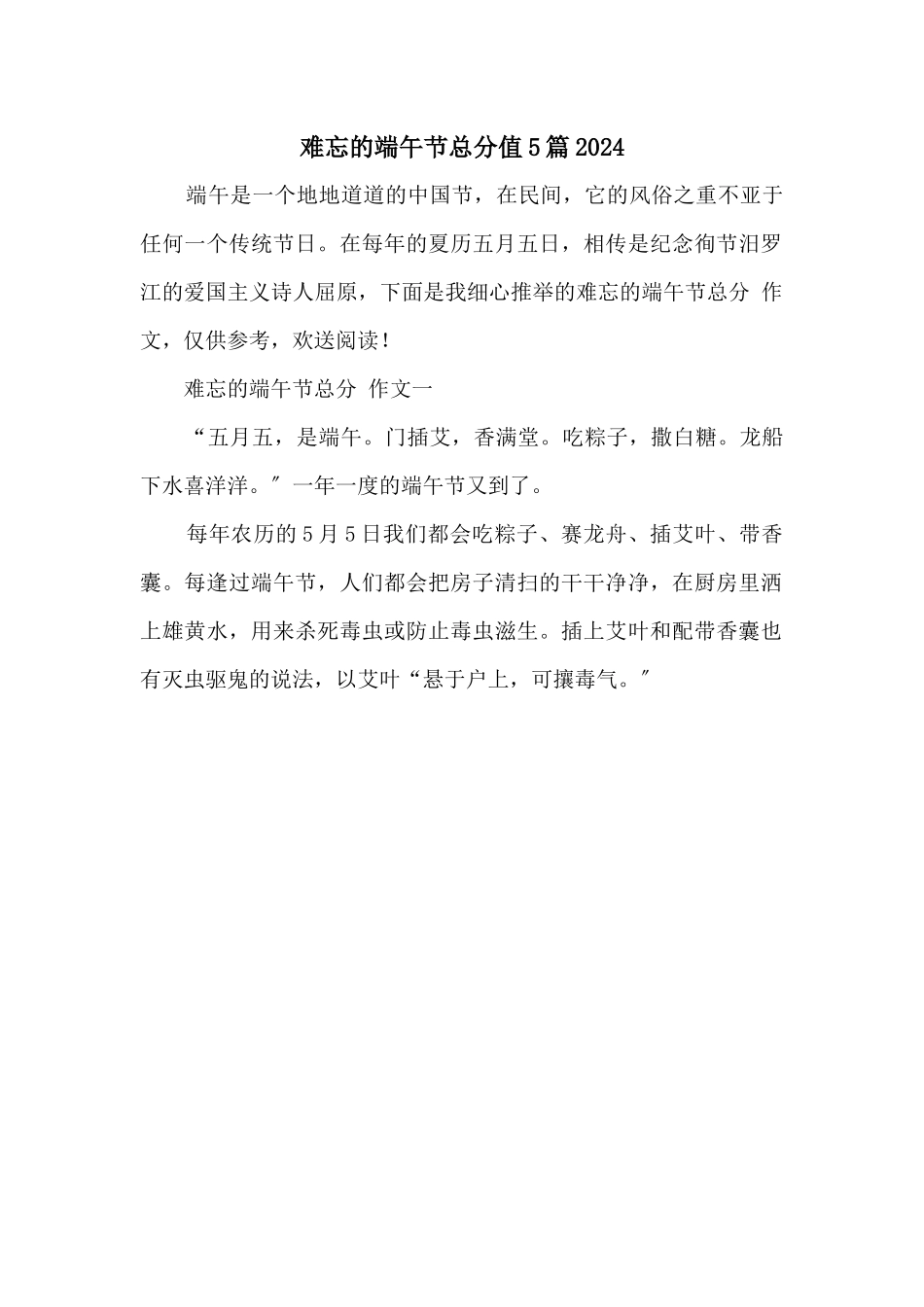 难忘的端午节满分5篇2024_第1页