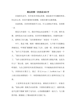 难忘的第一次尝试600字