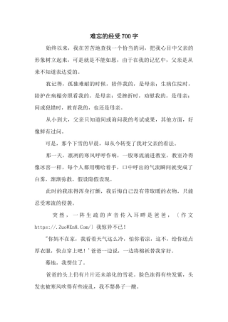 难忘的经历700字