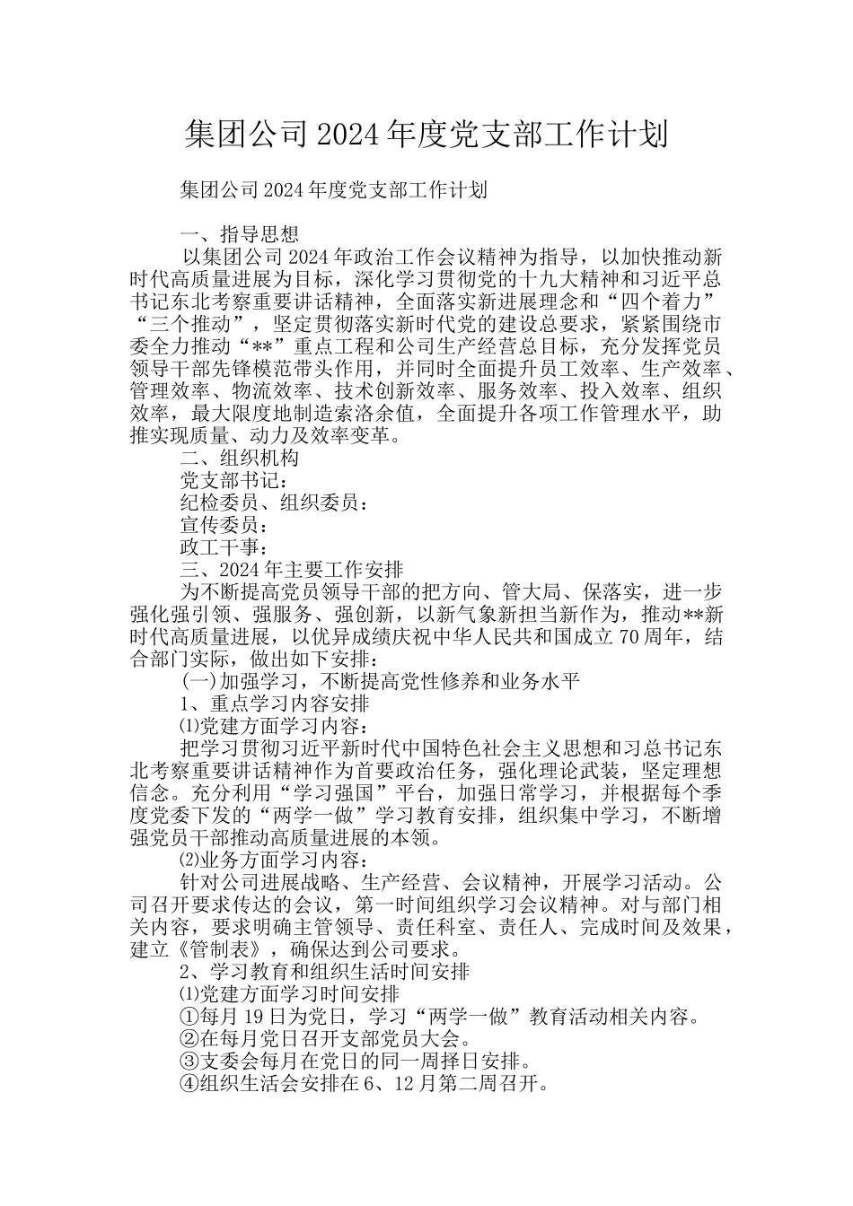 集团公司2024年度党支部工作计划_第1页