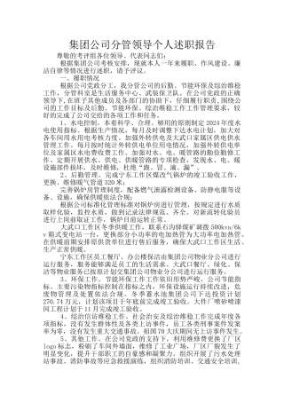 集团公司分管领导个人述职报告