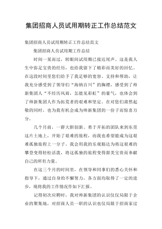 集团招商人员试用期转正工作总结范文
