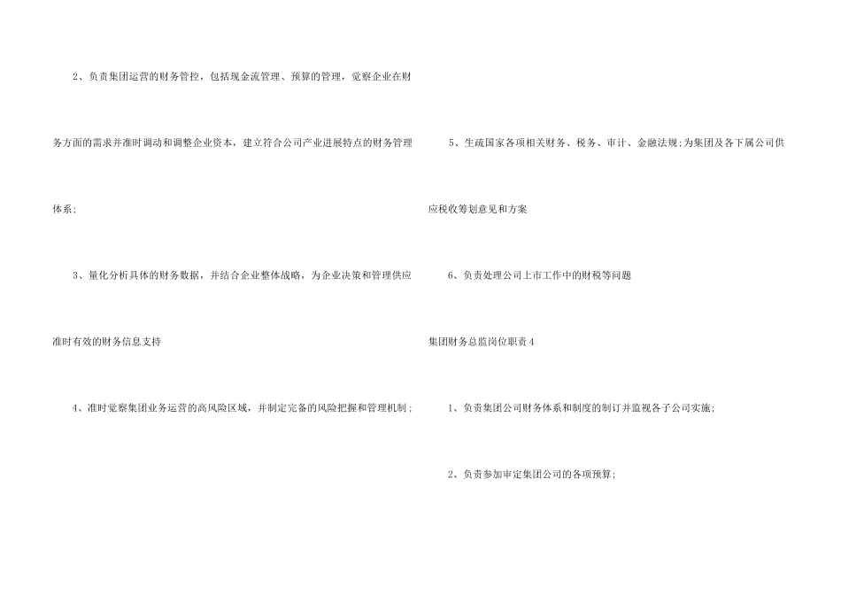 集团财务总监岗位职责_第3页