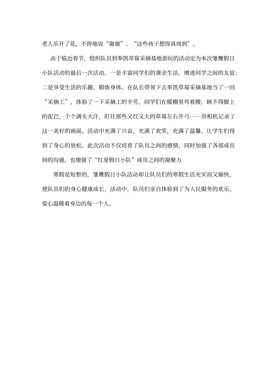 雏鹰假日小队活动总结_第2页