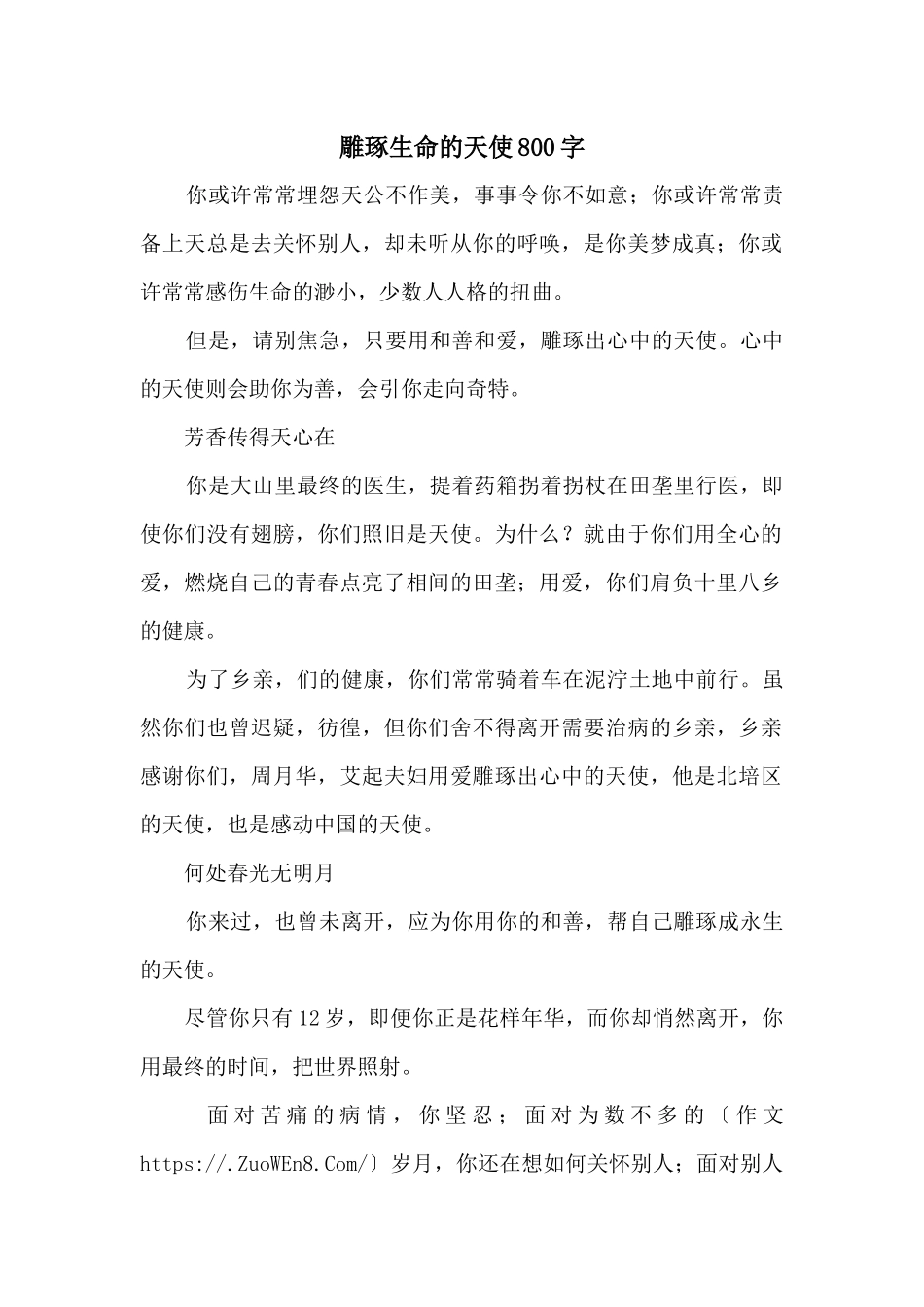 雕琢生命的天使800字_第1页