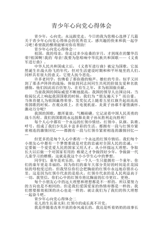 青少年心向党心得体会