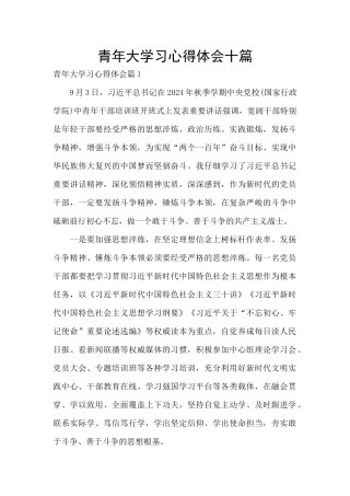 青年大学习心得体会十篇