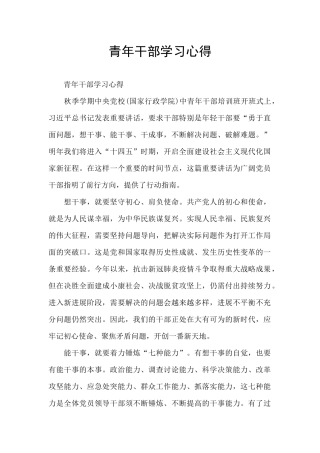 青年干部学习心得