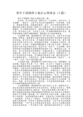 青年干部榜样5观后心得体会