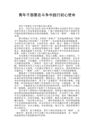 青年干部要在斗争中践行初心使命