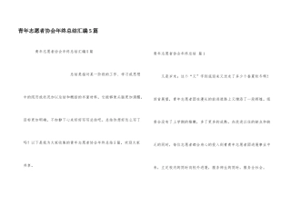 青年志愿者协会年终总结汇编5篇