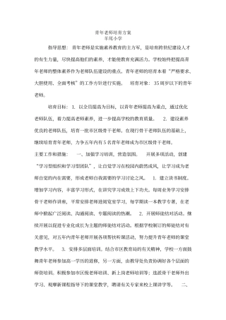 青年教师培养方案