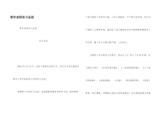 青年教师实习总结