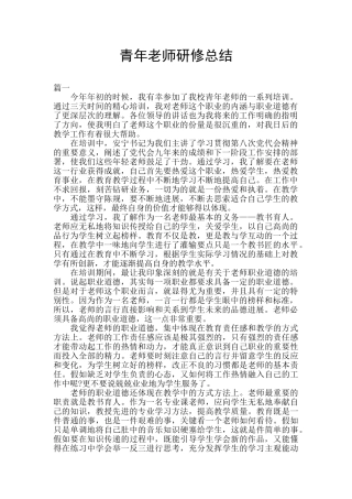 青年教师研修总结