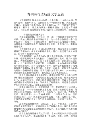青铜葵花读后感大学五篇