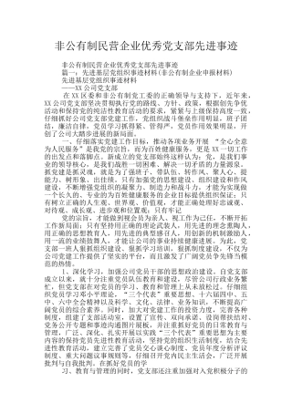 非公有制民营企业优秀党支部先进事迹