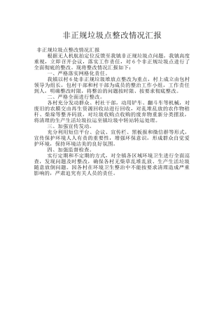 非正规垃圾点整改情况汇报