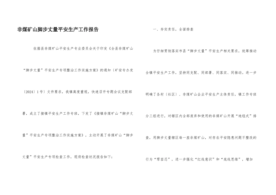 非煤矿山脚步丈量安全生产工作报告_第1页