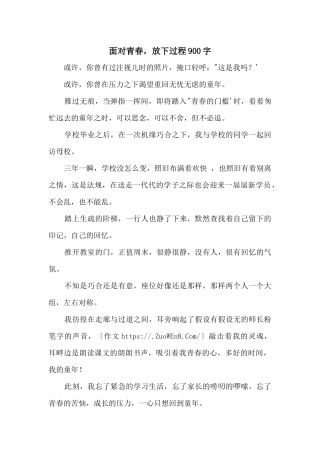 面向青春，放下过程900字
