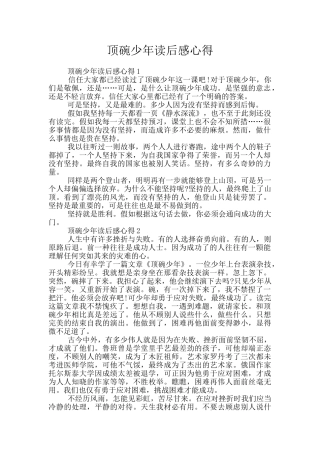 顶碗少年读后感心得