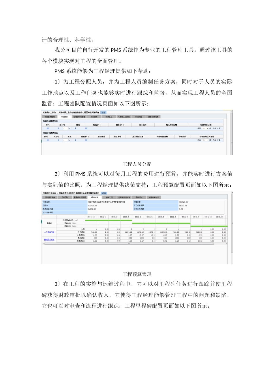 项目实施管理方案_第2页