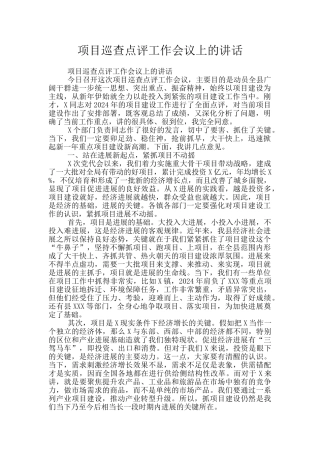 项目巡查点评工作会议上的讲话