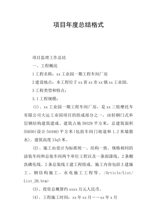 项目年度总结格式
